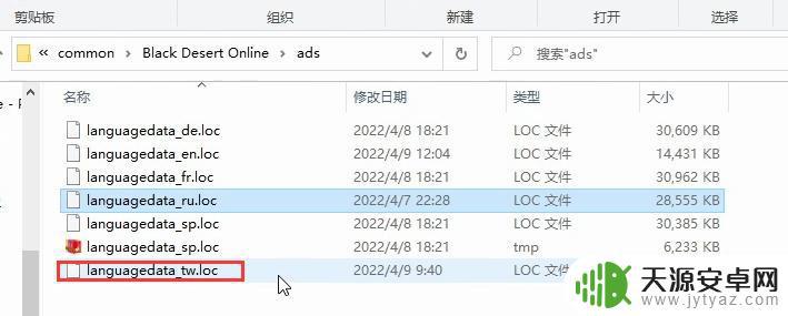 黑色沙漠steam中文 黑色沙漠steam汉化版下载及安装教程