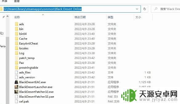 黑色沙漠steam中文 黑色沙漠steam汉化版下载及安装教程