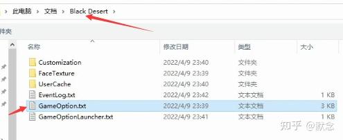 黑色沙漠steam中文 黑色沙漠steam汉化版下载及安装教程