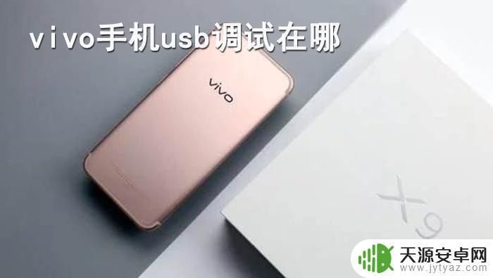手机USB设置vivo(手机usb连接设置)