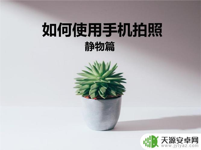 手机怎么设置图片静物(手机怎么设置屏幕图片)