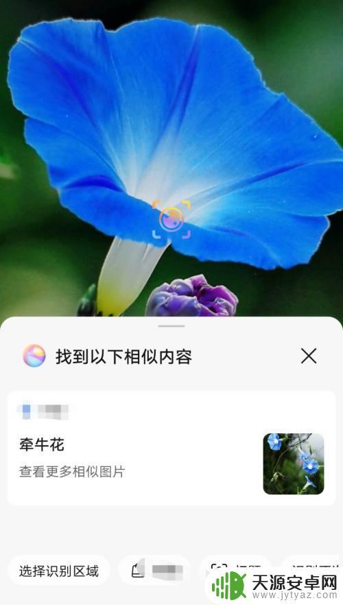 花草如何用手机识别(花草如何用手机识别图片)