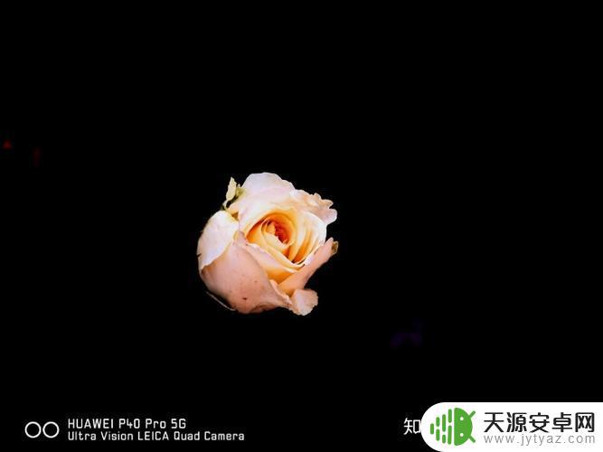 手机太黑怎么拍摄(手机太黑怎么拍摄好看)