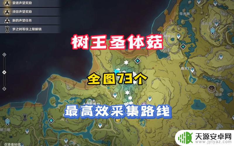 原神里树王圣体菇在哪里采集 原神树王圣体菇采集路线图