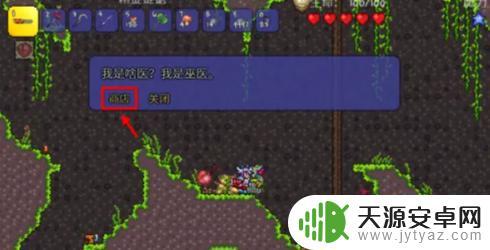 泰拉瑞亚常春藤哪里产出 常春藤种子怎么得到