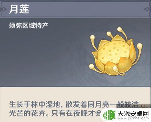 原神月莲哪里买 如何在原神中获取月莲