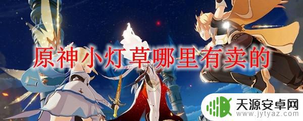 原神卖小灯草的npc位置 原神小灯草购买点在哪里