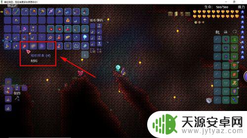 泰拉瑞亚怎么找到组织样本 泰拉瑞亚组织样本获取方式