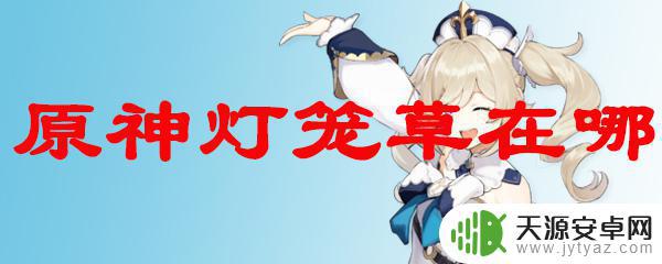 原神怎么找到小灯草 原神灯笼草怎么得
