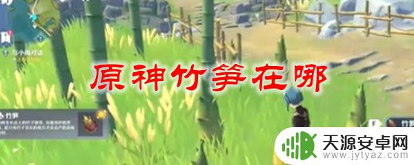 原神竹笋怎么挖 原神竹笋在哪里采集