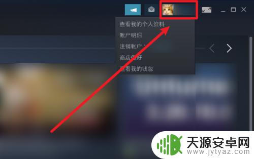 steam不让好友看到库 如何隐藏Steam游戏库存中不想公开的游戏？