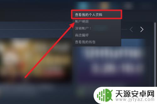 steam不让好友看到库 如何隐藏Steam游戏库存中不想公开的游戏？