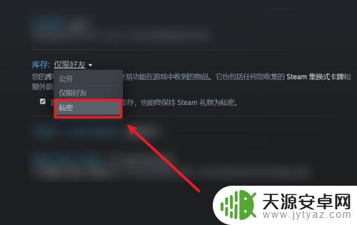 steam不让好友看到库 如何隐藏Steam游戏库存中不想公开的游戏？