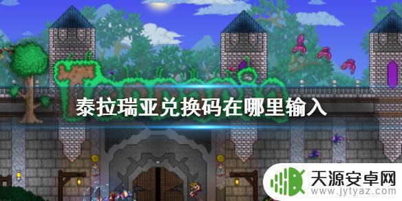 泰拉瑞亚兑换码哪里找 泰拉瑞亚兑换码使用步骤与注意事项