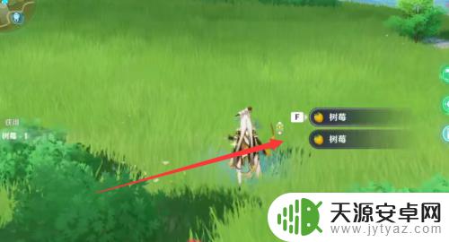 原神树莓怎么样 原神树莓怎么得