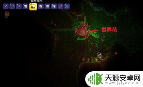 泰拉瑞亚怎么弄两个召唤物 泰拉瑞亚如何提高召唤物数量