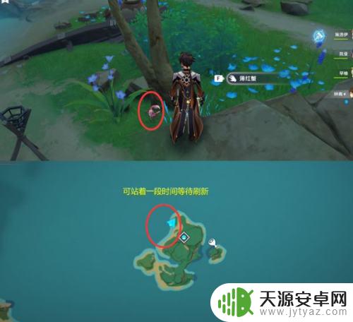 原神薄红蟹位置 原神四方八方之网薄红蟹蓝角蜥红角蜥位置图鉴