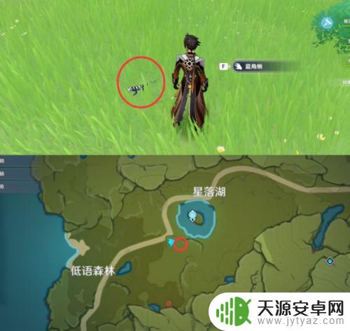 原神薄红蟹位置 原神四方八方之网薄红蟹蓝角蜥红角蜥位置图鉴