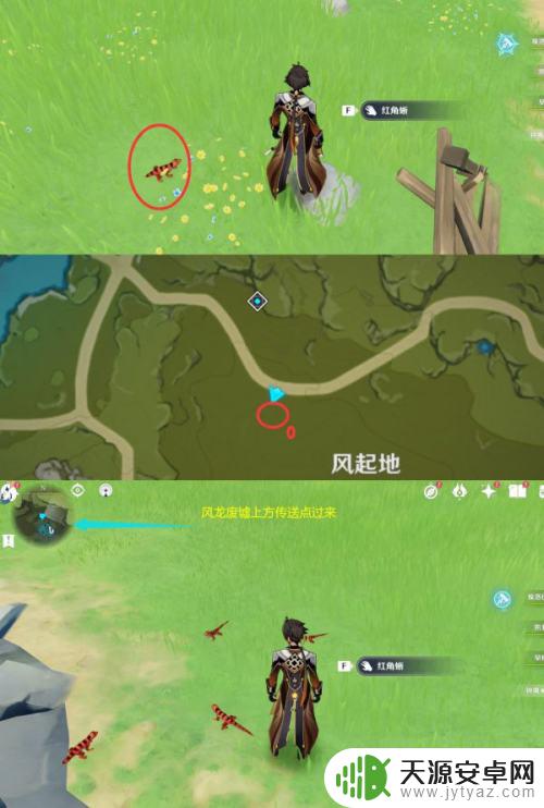 原神薄红蟹位置 原神四方八方之网薄红蟹蓝角蜥红角蜥位置图鉴