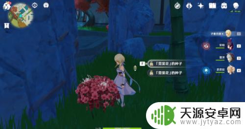 原神 化种匣怎么用 原神化种匣怎么用