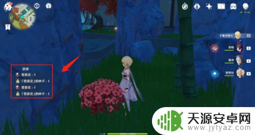 原神 化种匣怎么用 原神化种匣怎么用