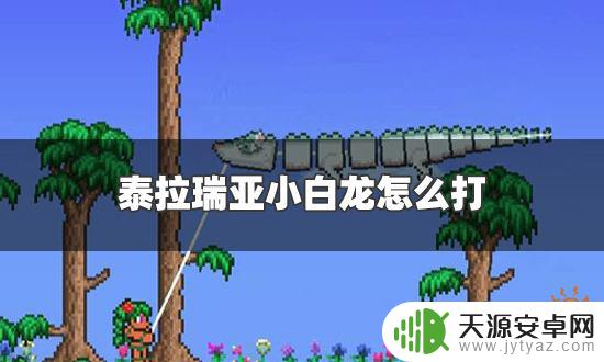泰拉瑞亚如何快速打败小白 泰拉瑞亚小白龙攻略分享