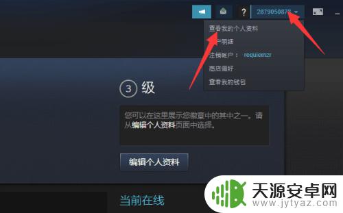 steam怎么复制数字id 如何通过Steam账号查看自己的17位数字ID