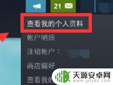 怎么将steam个人游戏隐藏 Steam如何设置单独隐身某个游戏