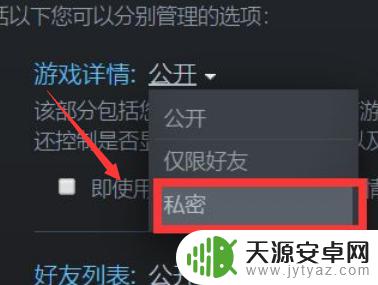 怎么将steam个人游戏隐藏 Steam如何设置单独隐身某个游戏