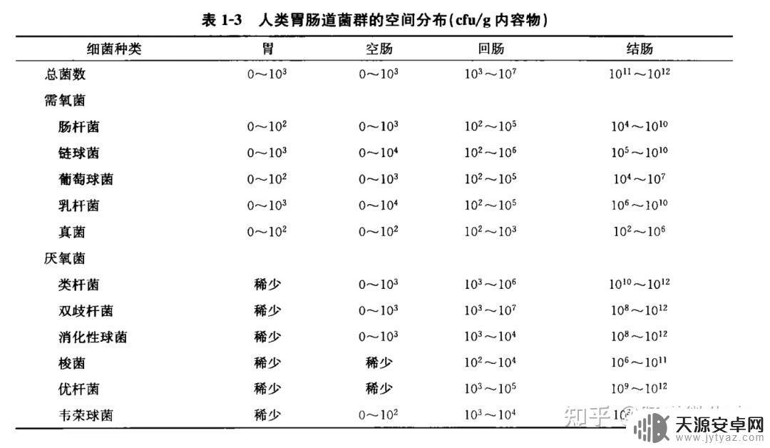 原神和小肠的关系是什么 肠道微生物群落的种类和分布情况