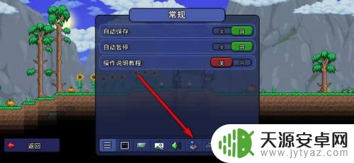手机版泰拉瑞亚按键怎么放大 泰拉瑞亚手游虚拟按键区域大小调整方法
