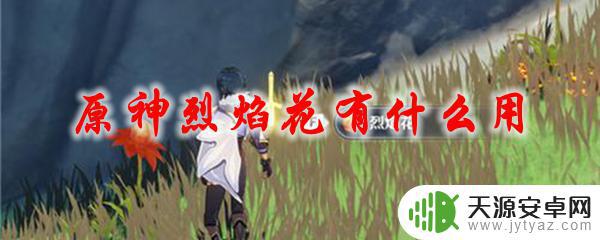 原神烈焰花有什么用啊 原神烈焰花怎么获得
