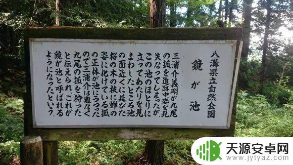 明日方舟铃兰原型 铃兰御守的来历与故事