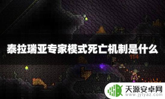 泰拉瑞亚专家死亡惩罚 泰拉瑞亚专家模式死亡惩罚机制是什么怎么避免死亡惩罚