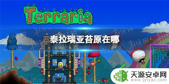 泰拉瑞亚 苔原 泰拉瑞亚苔原怎么去