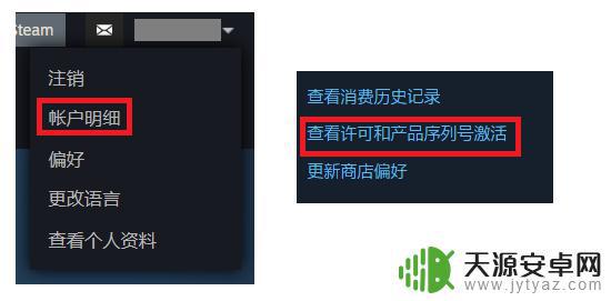 steam刚加的好友能送游戏吗 如何在Steam上购买礼物