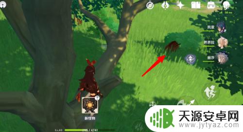 原神角色如何保持一滴血 原神野猪撞死怎么避免