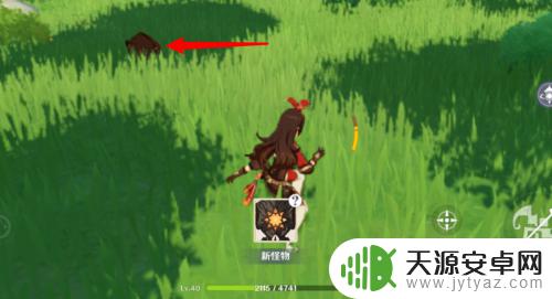 原神角色如何保持一滴血 原神野猪撞死怎么避免