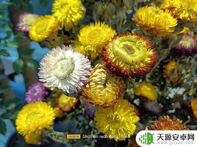 真我gtneo打原神怎么样 真我GT neo的配置参数