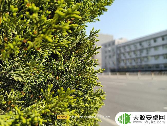 真我gtneo打原神怎么样 真我GT neo的配置参数