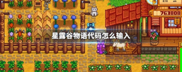 星露谷物语switch可以输入代码吗