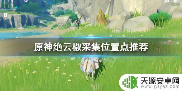 绝云椒椒在哪里采集?