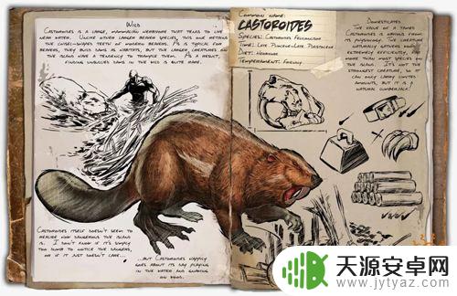 方舟手游中期需要驯服什么龙