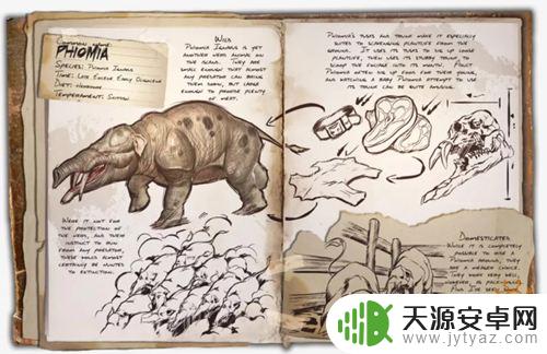 方舟手游中期需要驯服什么龙