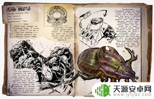 方舟手游中期需要驯服什么龙