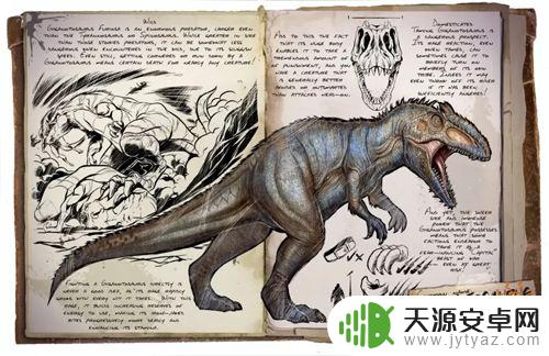 方舟手游中期需要驯服什么龙