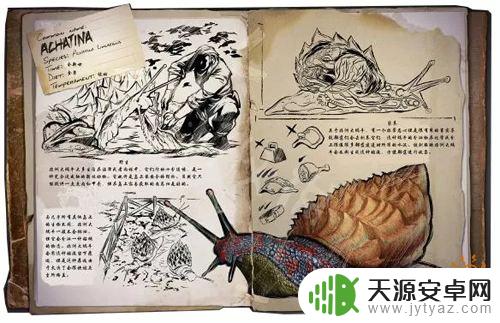 方舟手游中期需要驯服什么龙