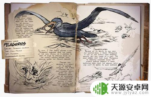 方舟手游中期需要驯服什么龙