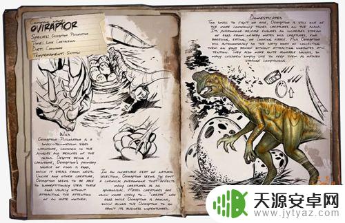 方舟手游中期需要驯服什么龙
