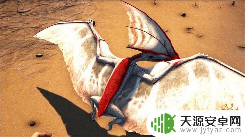 方舟古神翼龙哪里最多